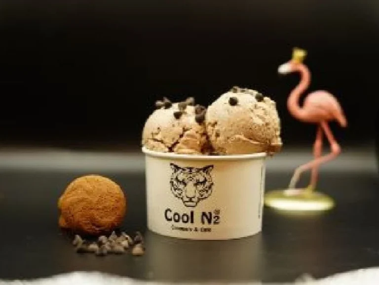 17 Best Ice Cream in Faisalabad You Must Try Today