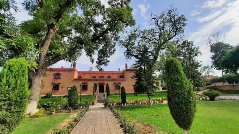 12 Best Colleges in Peshawar for Quality Education and Academic Excellence