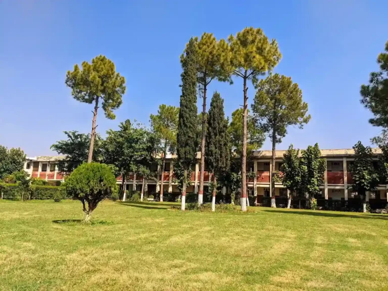 11 Best Colleges in Islamabad for Academic Excellence and Bright Futures