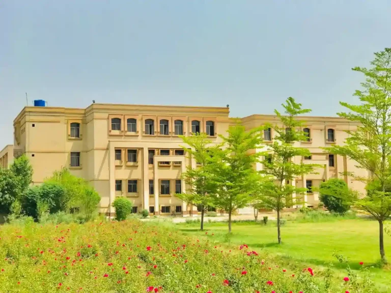 13 Best Colleges in Faisalabad for Academic Excellence and Career Growth
